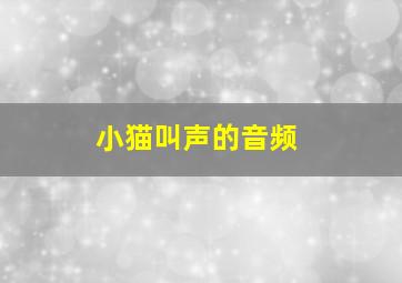 小猫叫声的音频