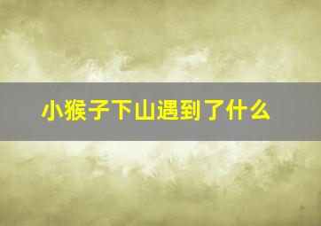 小猴子下山遇到了什么