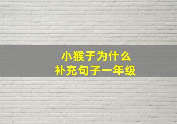 小猴子为什么补充句子一年级