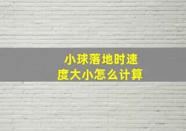 小球落地时速度大小怎么计算