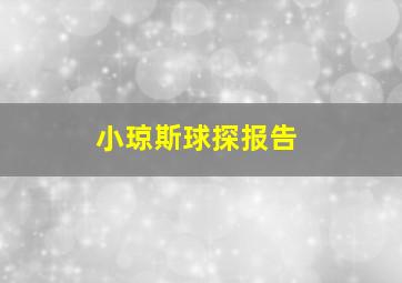 小琼斯球探报告