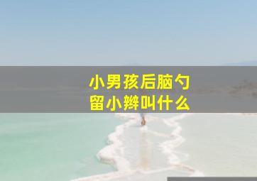 小男孩后脑勺留小辫叫什么