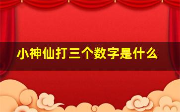 小神仙打三个数字是什么