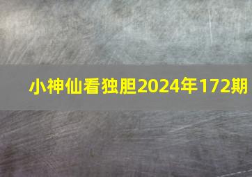 小神仙看独胆2024年172期