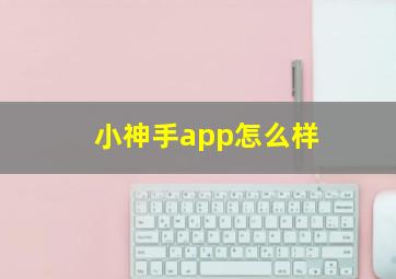 小神手app怎么样