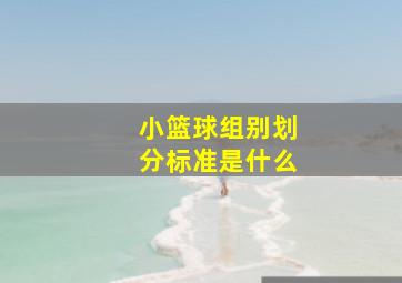 小篮球组别划分标准是什么