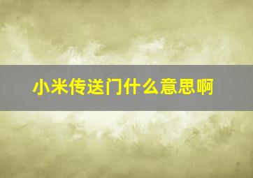 小米传送门什么意思啊