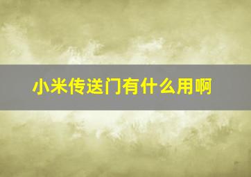 小米传送门有什么用啊