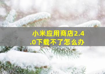 小米应用商店2.4.0下载不了怎么办