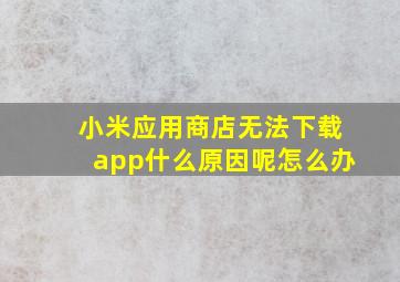 小米应用商店无法下载app什么原因呢怎么办