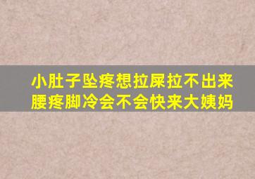 小肚子坠疼想拉屎拉不出来腰疼脚冷会不会快来大姨妈