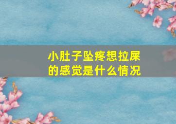 小肚子坠疼想拉屎的感觉是什么情况