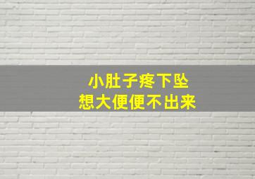 小肚子疼下坠想大便便不出来