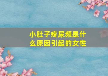 小肚子疼尿频是什么原因引起的女性