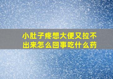 小肚子疼想大便又拉不出来怎么回事吃什么药