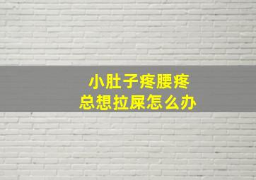 小肚子疼腰疼总想拉屎怎么办