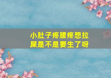 小肚子疼腰疼想拉屎是不是要生了呀