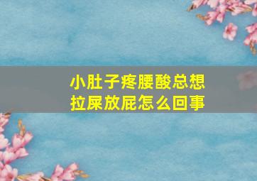 小肚子疼腰酸总想拉屎放屁怎么回事