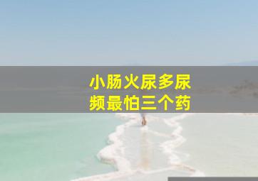 小肠火尿多尿频最怕三个药