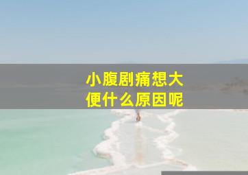 小腹剧痛想大便什么原因呢