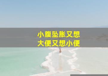 小腹坠胀又想大便又想小便