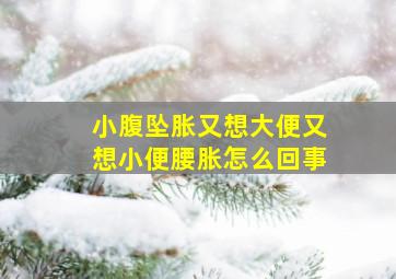 小腹坠胀又想大便又想小便腰胀怎么回事