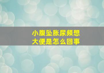 小腹坠胀尿频想大便是怎么回事