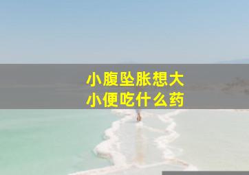 小腹坠胀想大小便吃什么药