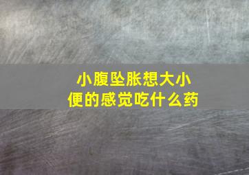 小腹坠胀想大小便的感觉吃什么药