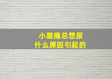 小腹痛总想尿什么原因引起的