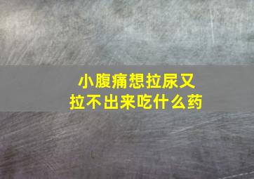 小腹痛想拉尿又拉不出来吃什么药