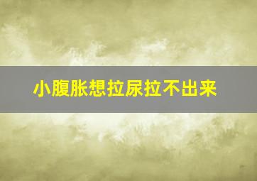 小腹胀想拉尿拉不出来