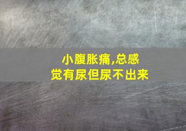 小腹胀痛,总感觉有尿但尿不出来