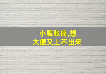 小腹胀痛,想大便又上不出来