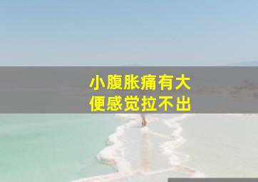 小腹胀痛有大便感觉拉不出