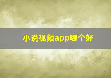 小说视频app哪个好