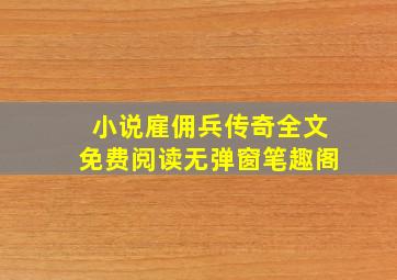 小说雇佣兵传奇全文免费阅读无弹窗笔趣阁