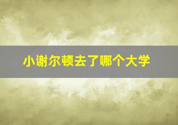 小谢尔顿去了哪个大学