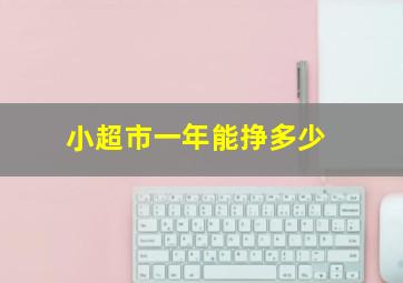 小超市一年能挣多少