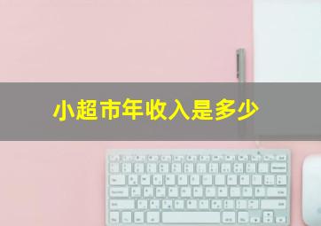 小超市年收入是多少