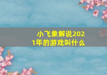 小飞象解说2021年的游戏叫什么