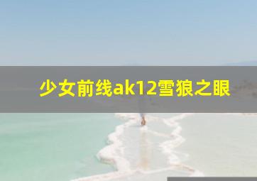 少女前线ak12雪狼之眼