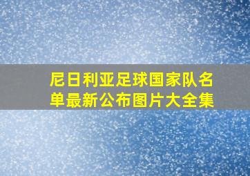 尼日利亚足球国家队名单最新公布图片大全集