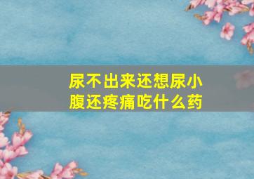 尿不出来还想尿小腹还疼痛吃什么药