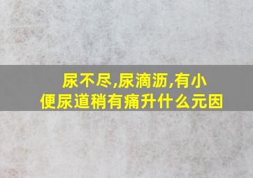 尿不尽,尿滴沥,有小便尿道稍有痛升什么元因