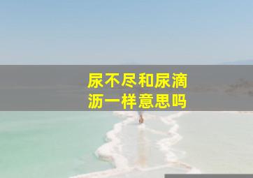 尿不尽和尿滴沥一样意思吗