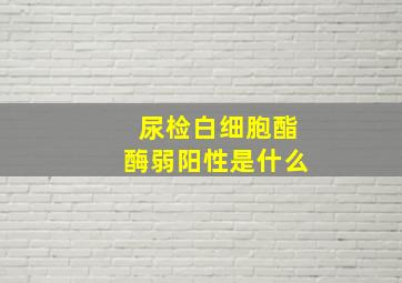 尿检白细胞酯酶弱阳性是什么