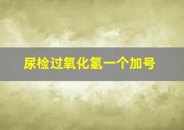 尿检过氧化氢一个加号