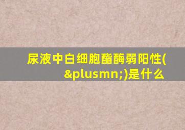 尿液中白细胞酯酶弱阳性(±)是什么