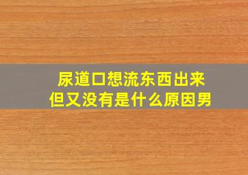 尿道口想流东西出来但又没有是什么原因男